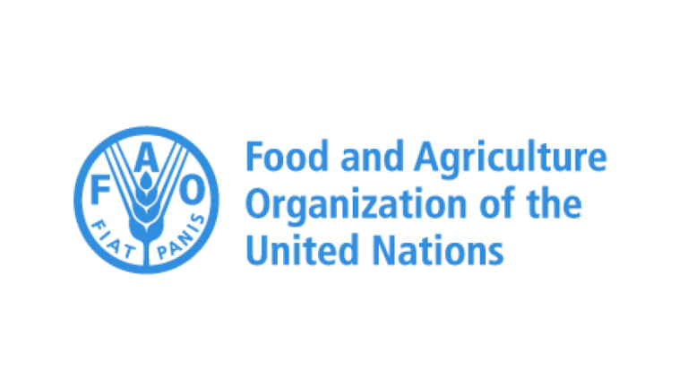 FAO Somalia logo