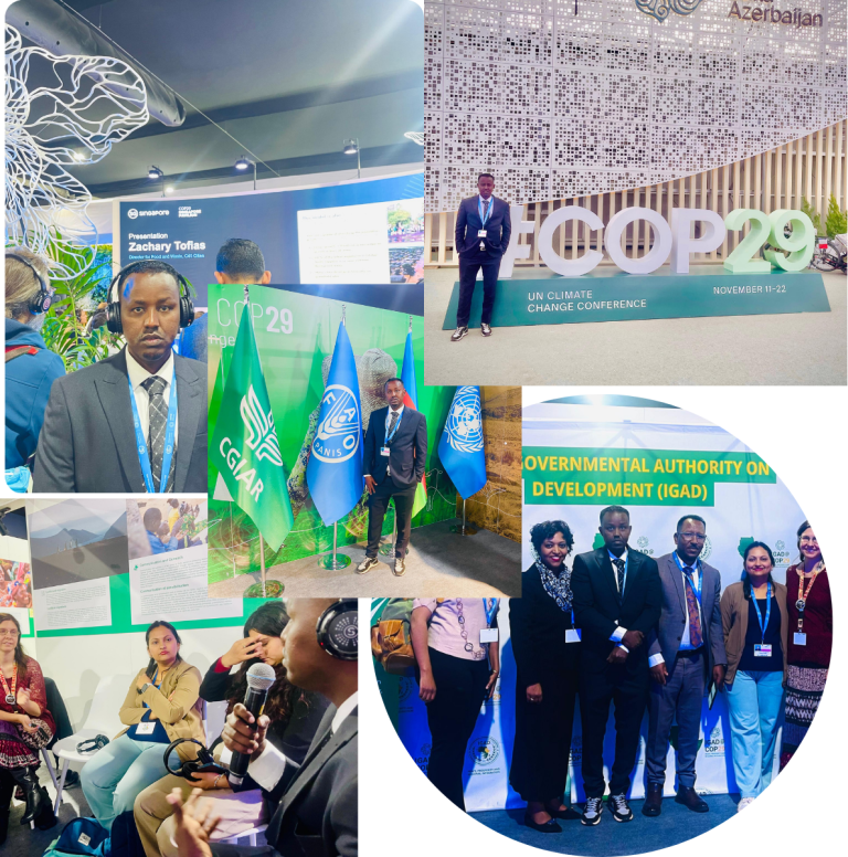 PUSAN at UN Climate Change Conference COP29